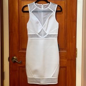 NWT SEXY MESH SHEATH MINI DRESS, WHITE